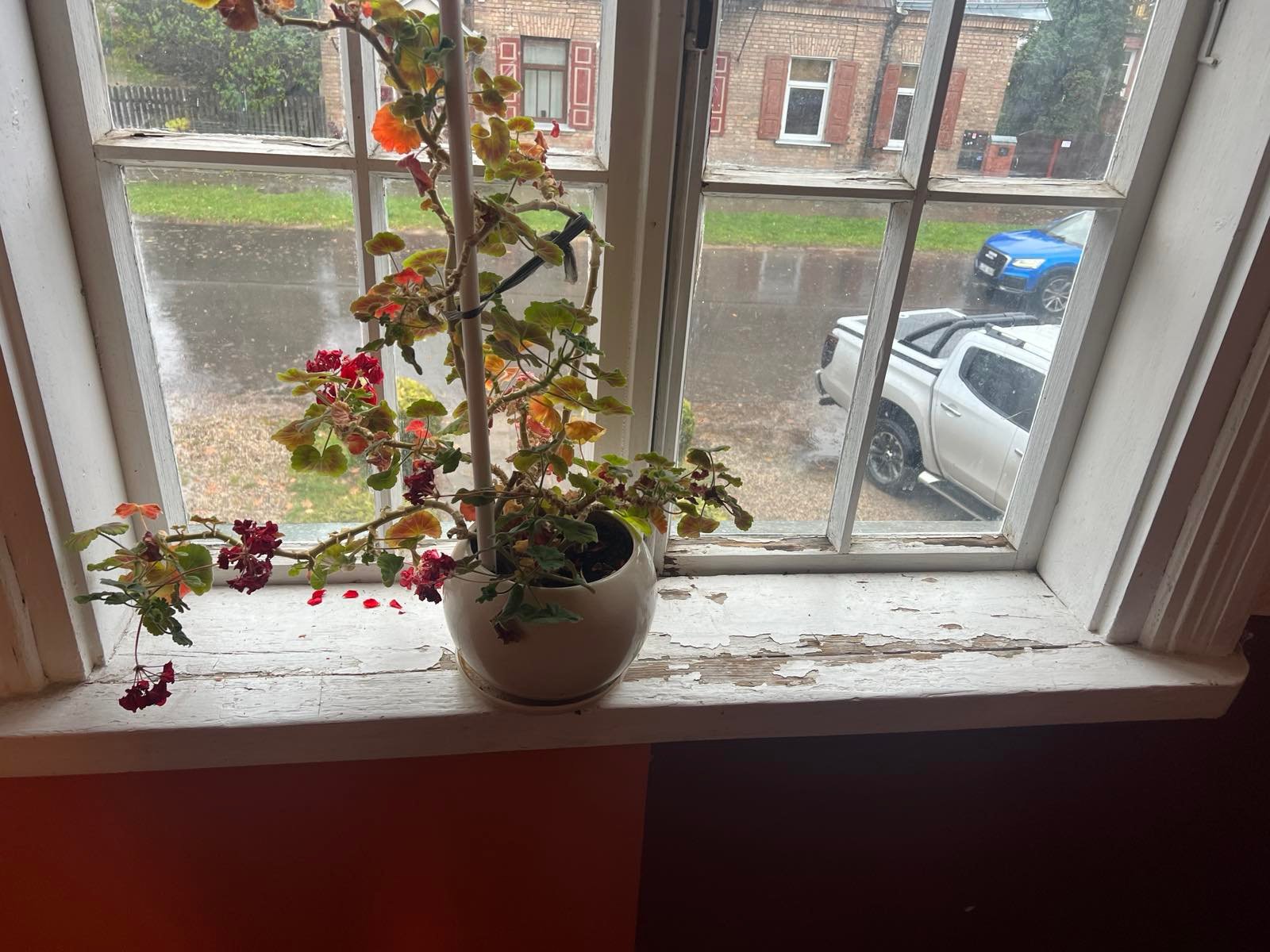 0 02 05 4436bd3da4de92e627e3f424cfaf03132bc4258c4b44269e481b112e07d37a14 1c6dc8beafe6aa